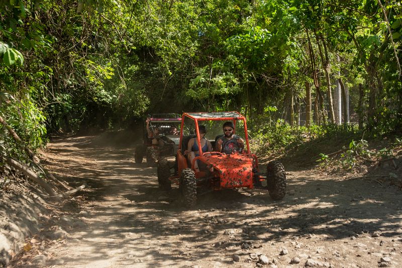 Two red ATVs driving through a lush forest on a sunny day