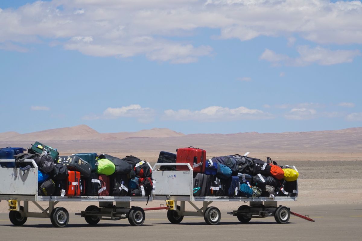 Baggage carts loaded with suitcases on the apron