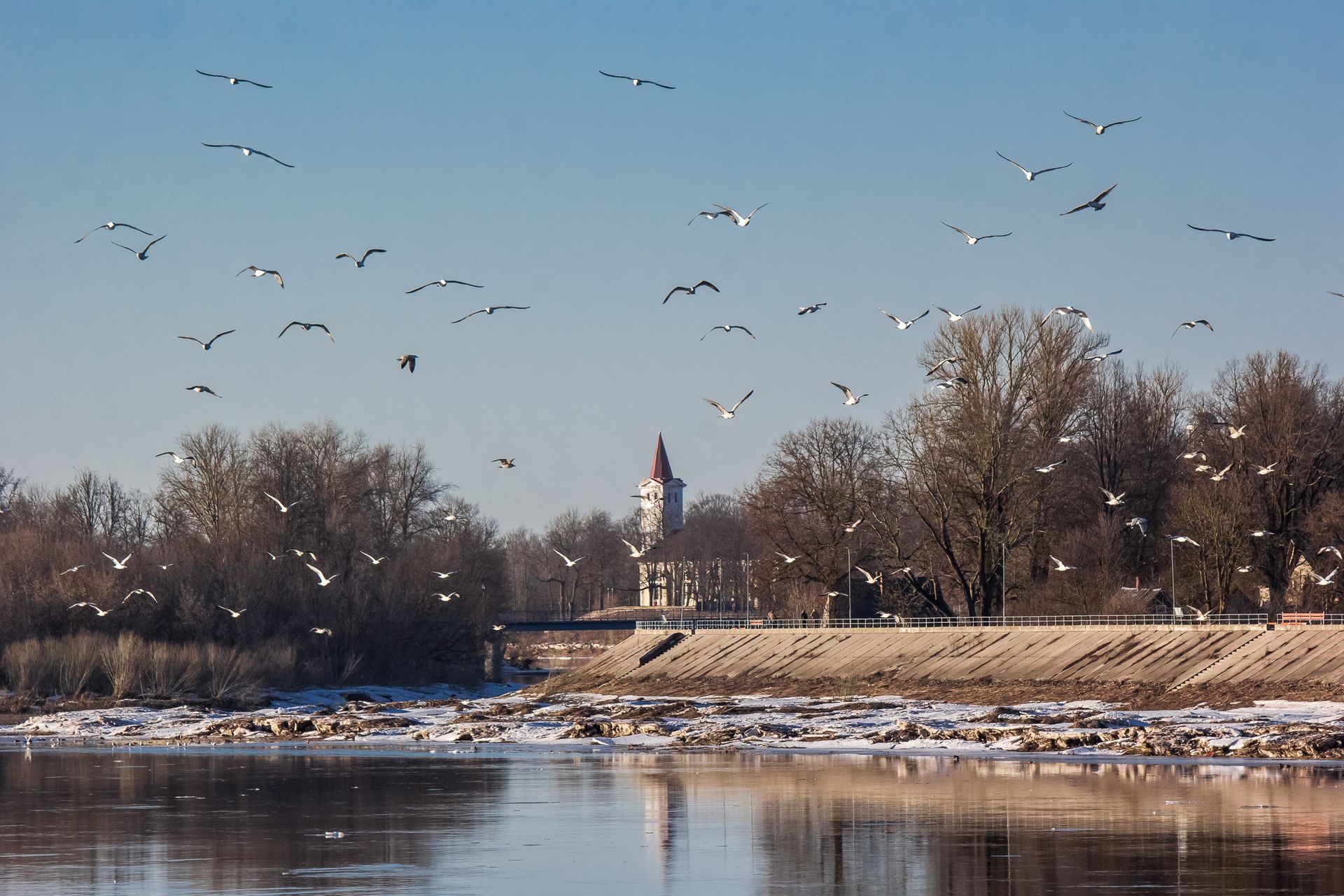 A serene winter river view with flying birds and a distant clock tower under clear skies.