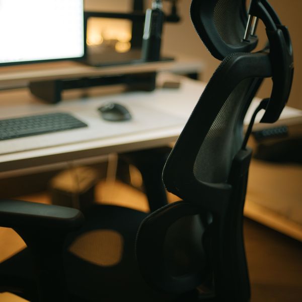 Lumbar Back Support