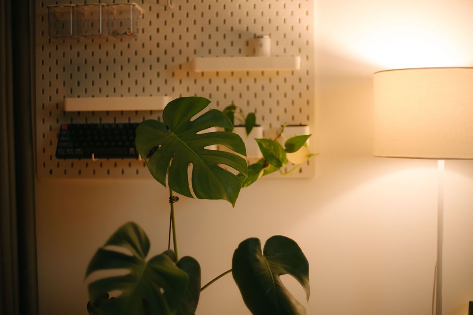 daily reset surface cozy home lifestyle photo 1
