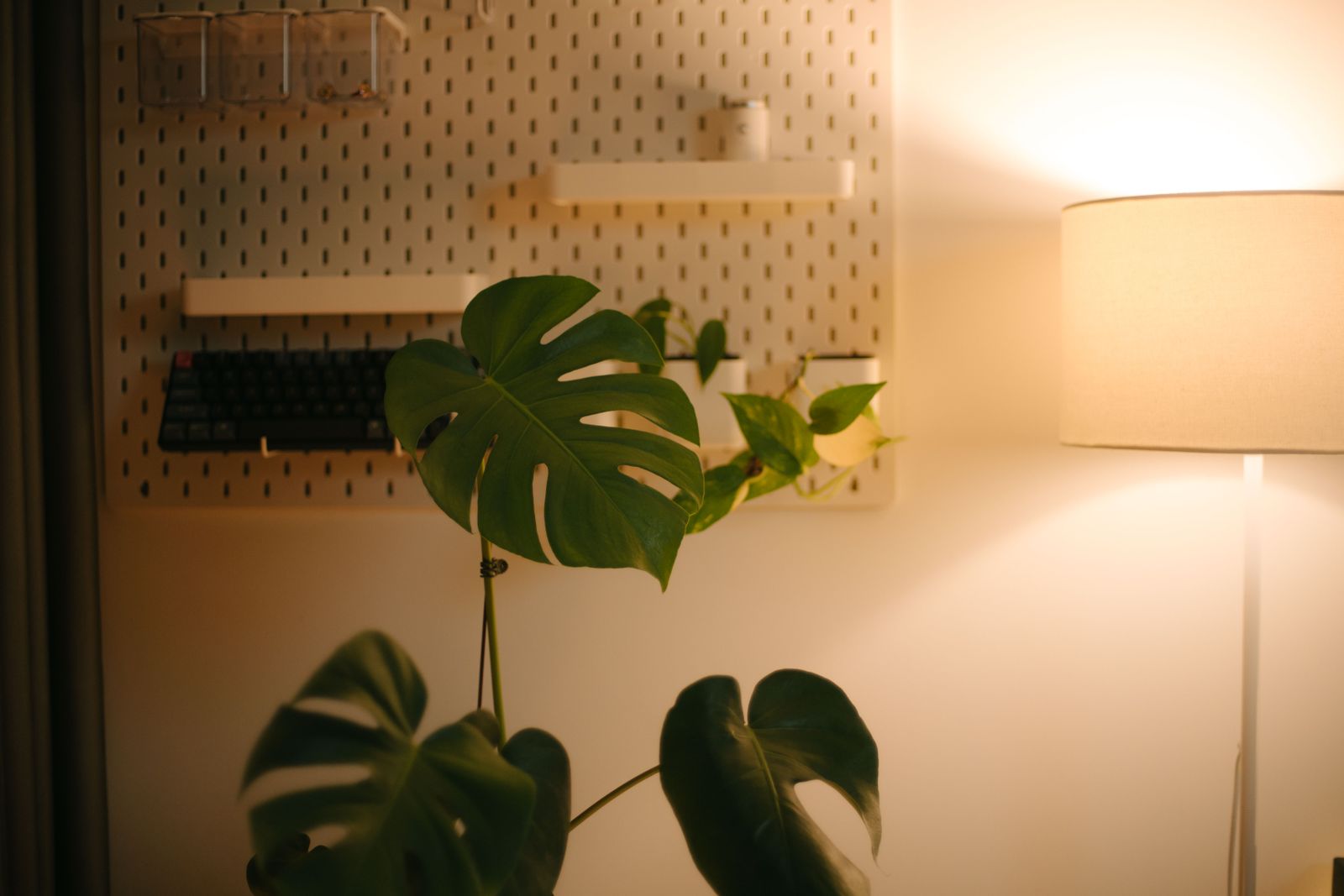 Monstera beside a warm lamp in a dim corner, showing low light indoor plants styled for dark spaces