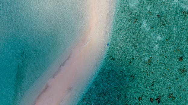 A breathtaking aerial shot of the Maldives' turquoise waters and sandy beach.