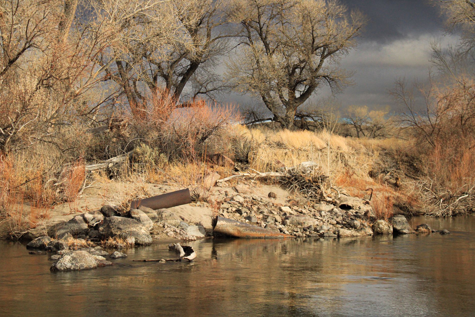 Tranquil desert riverbank with dry vegetation and overcast sky in Silver Springs, Nevada.