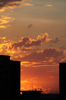 Stunning sunset over cityscape with silhouetted buildings, perfect for urban or nature themes.