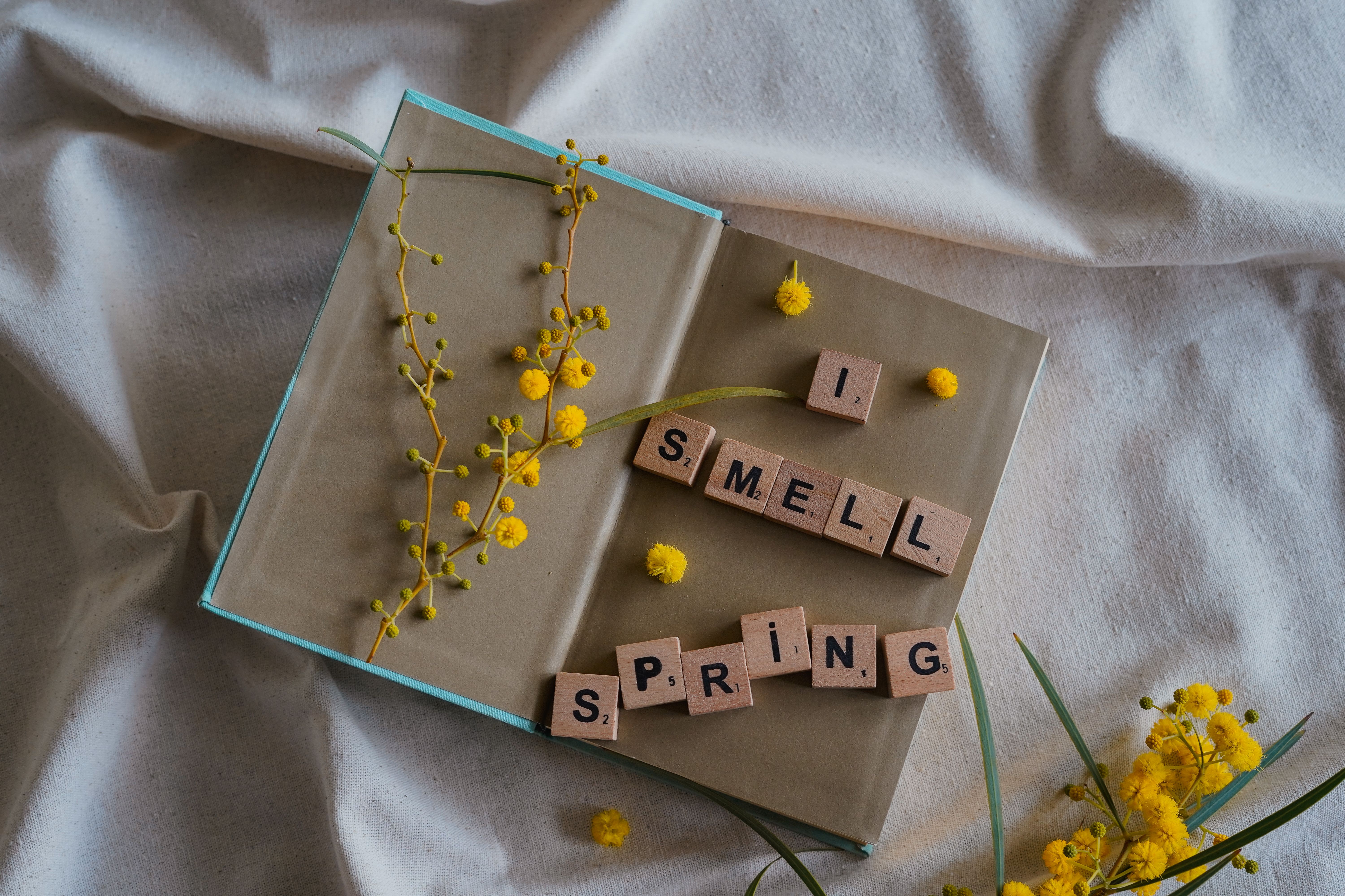 Looking to declutter while spring cleaning? 1-800-GOT-JUNK? can help and all you have to do is point. Find out more on Live. 