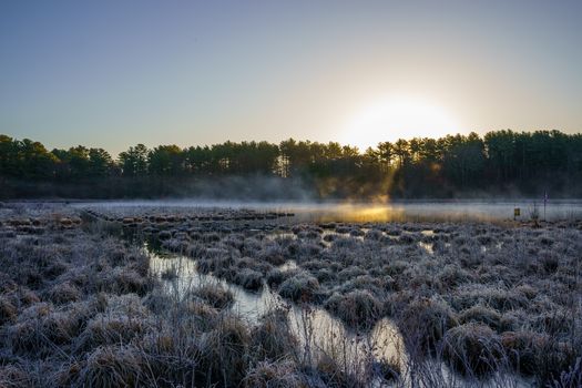 A tranquil winter sunrise over a frosty marshland in Pembroke, capturing misty reflections in serene nature.