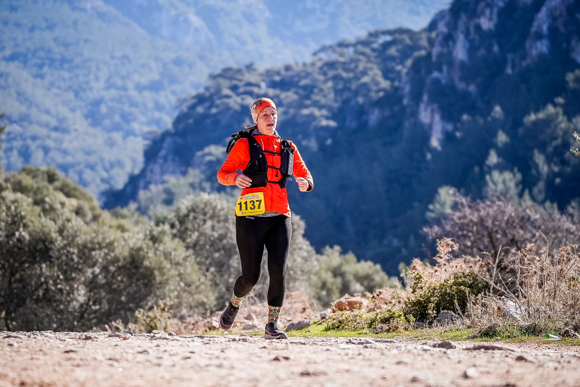 trail runner mountain forest