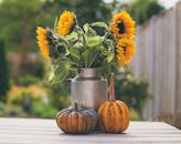 质朴的秋季布景中，向日葵插在金属罐里，南瓜摆在木桌上