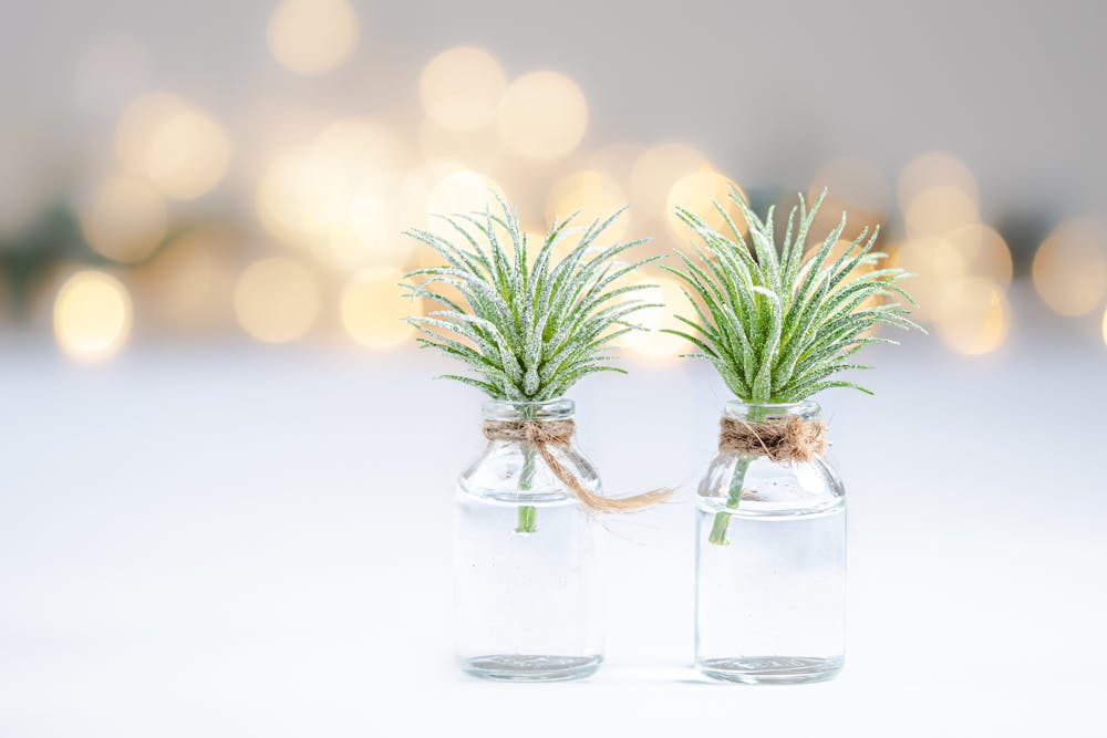 Mini Key Lime Pies in Jars