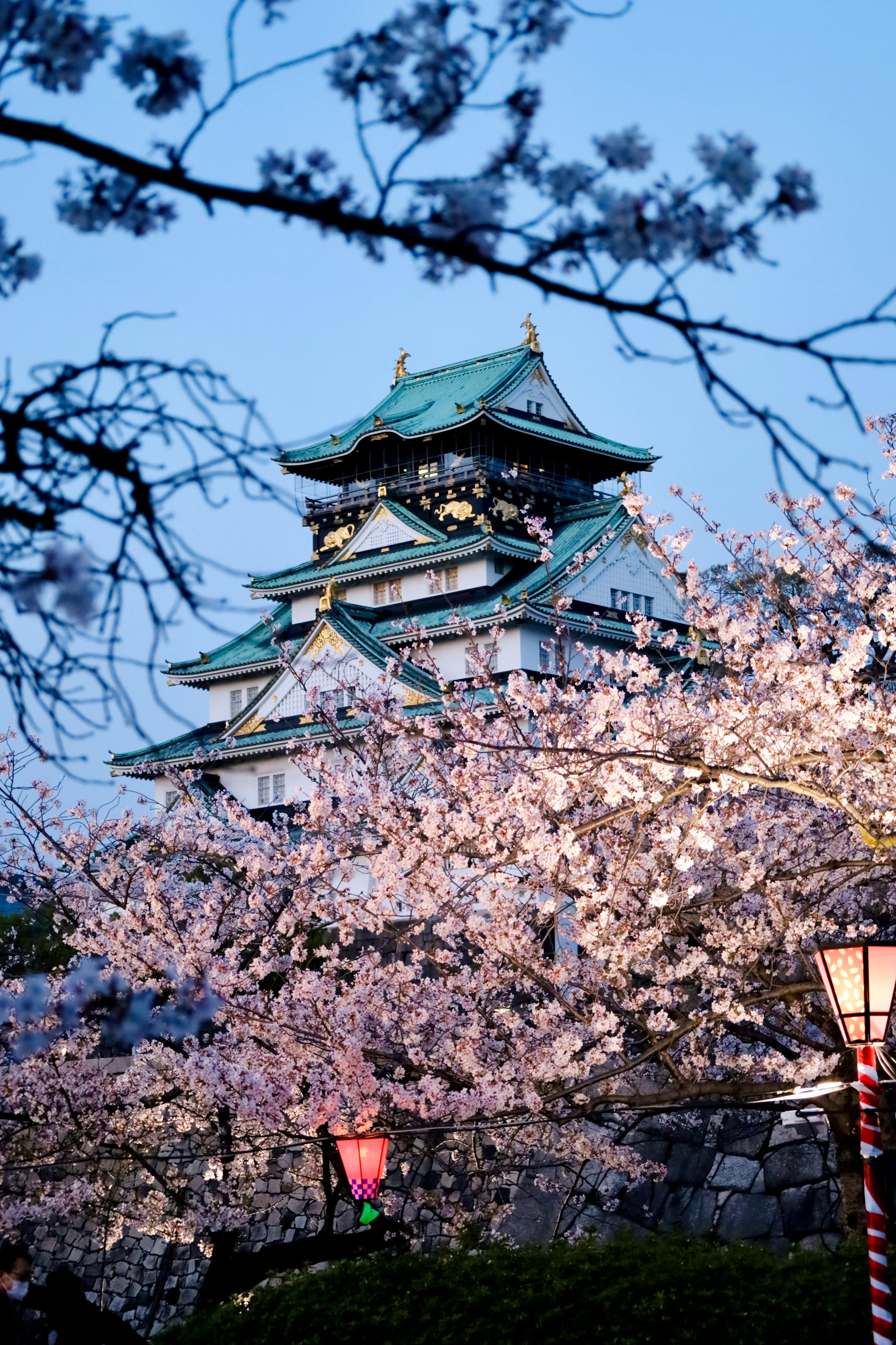 Tokyo, Japan