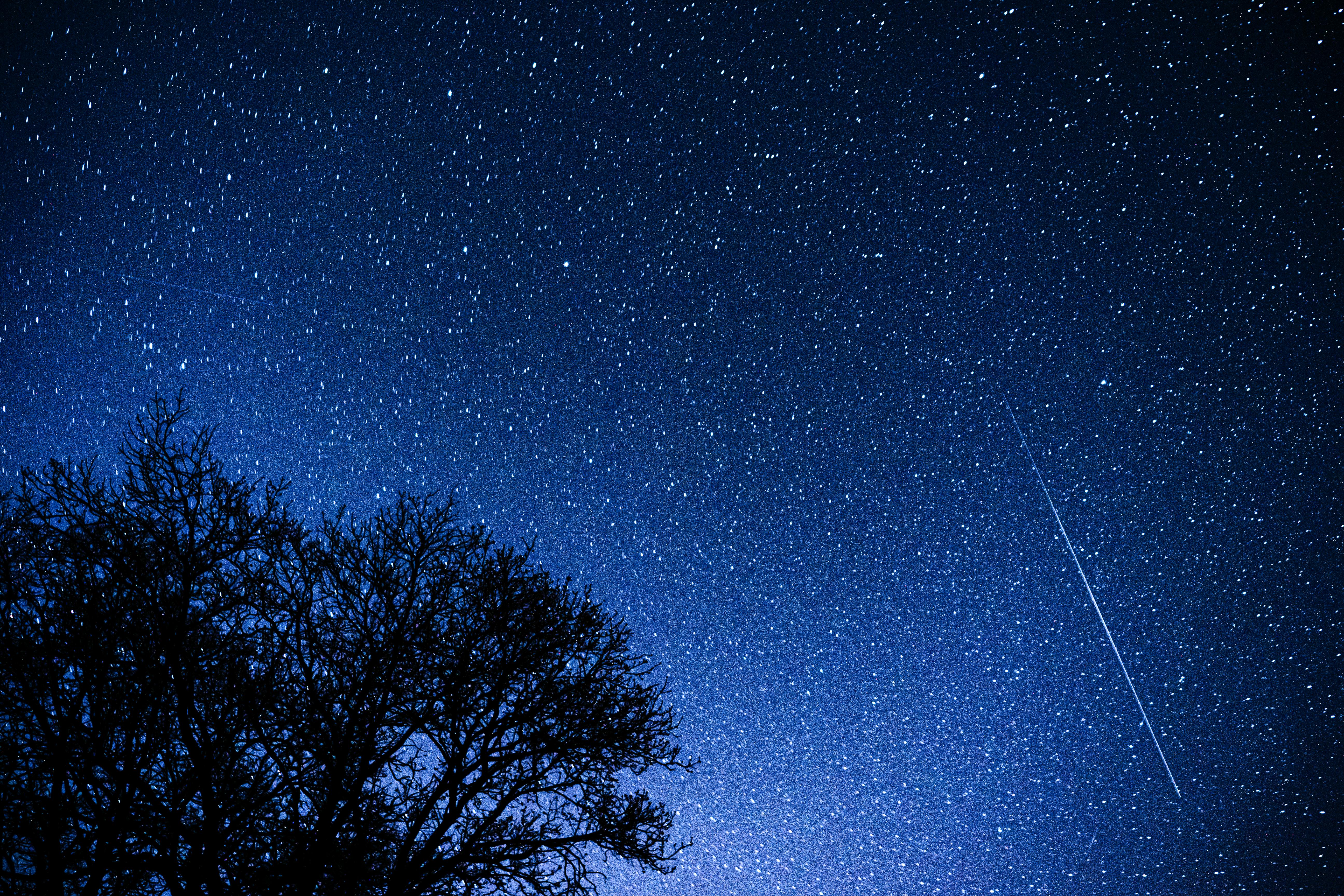 A Shooting Star in the Starry Night Sky · Free Stock Photo