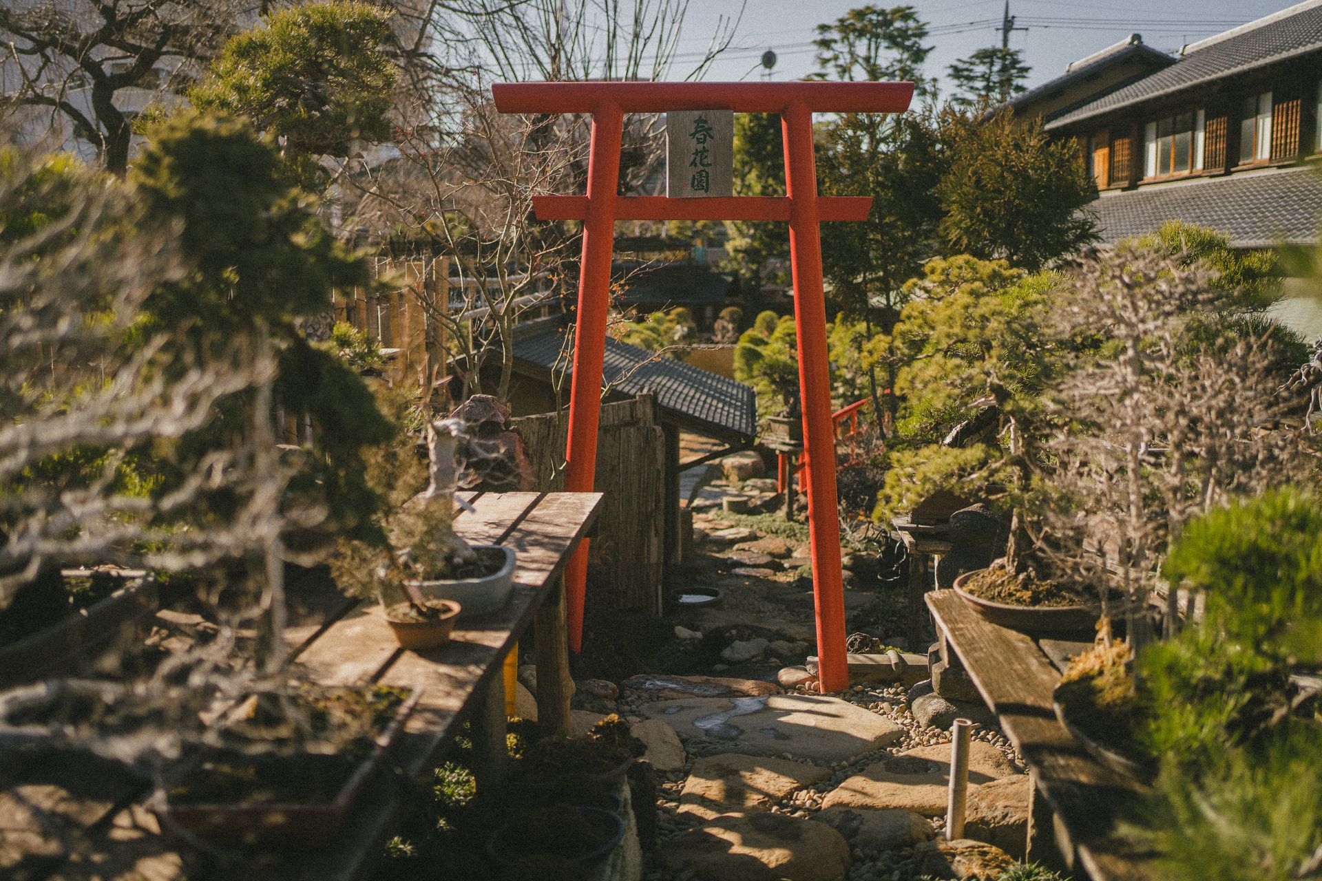 A serene Japanese garden featuring a prominent red torii gate surrounded by bonsai trees and traditional architecture.