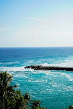 Kontroversi Pembatasan Akses Kanada ke Perpustakaan Perbatasan yang Mengharukan - kontroversi 1