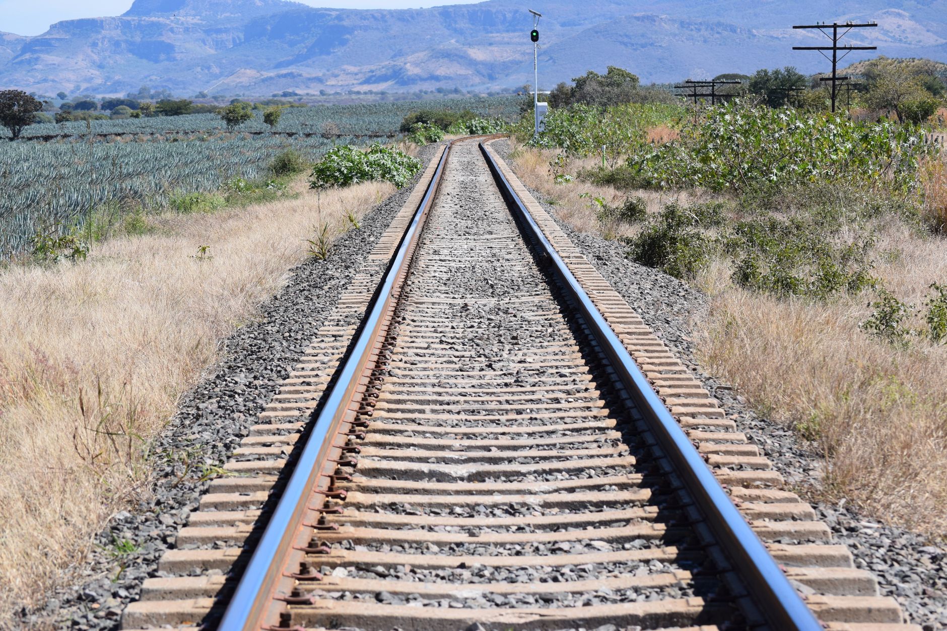 The Ultimate Tren Maya Travel Guide: Traversing the Yucatán Peninsula by Rail