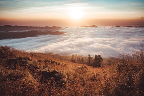 Foto d'estoc gratuïta de a l'aire lliure, alba, amb boira