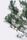 pine