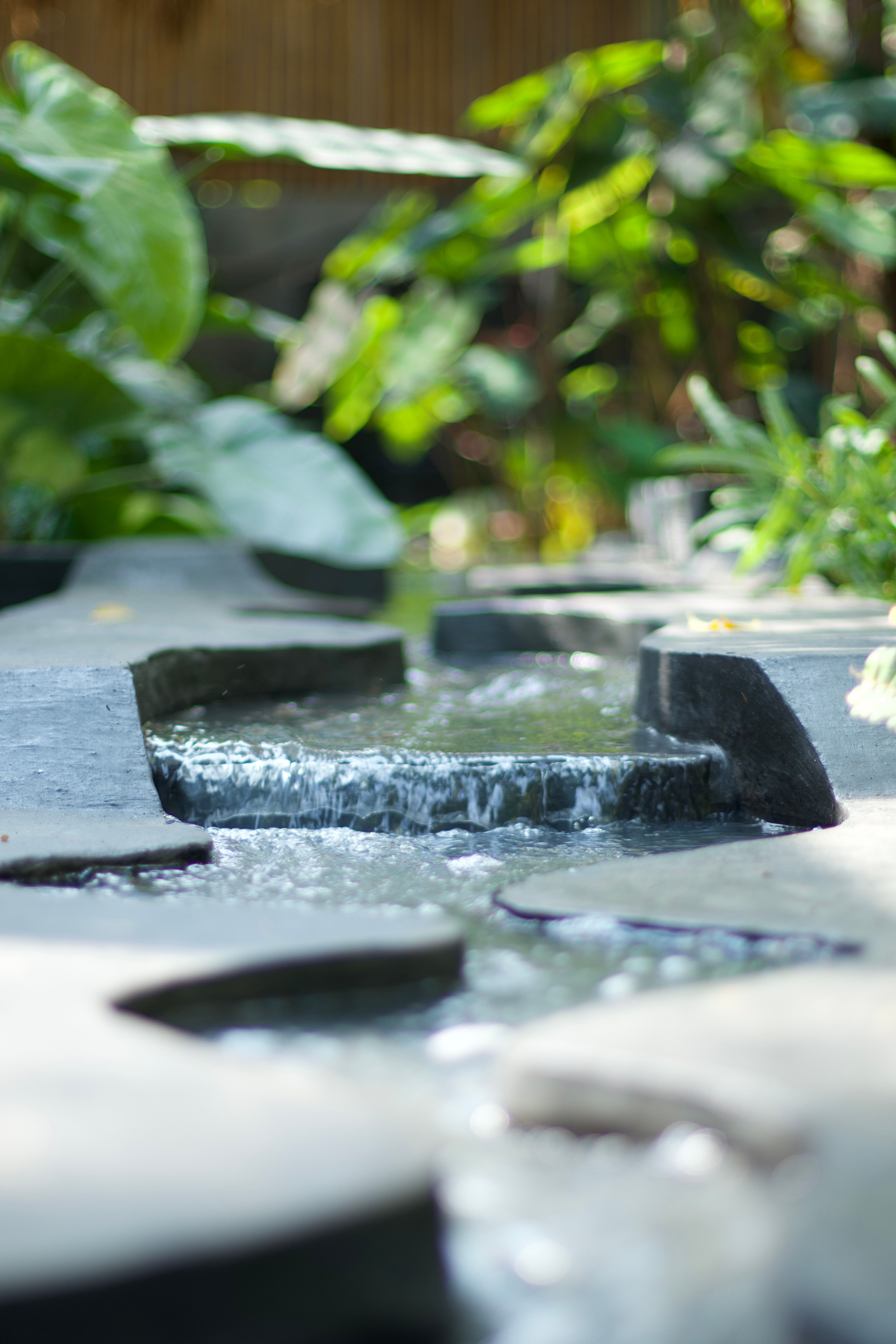 Serene Garden Pathway with Water Feature · Free Stock Photo