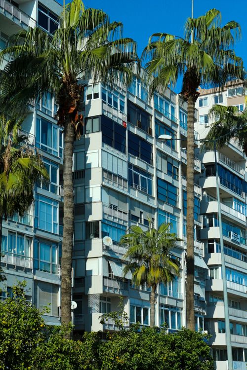 Free Stylish apartment buildings surrounded by palm trees in Mersin, Türkiye. Stock Photo