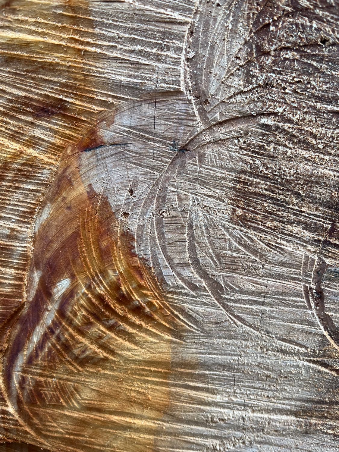 Textured Wood Surface with Carved Patterns ยท Free Stock Photo
