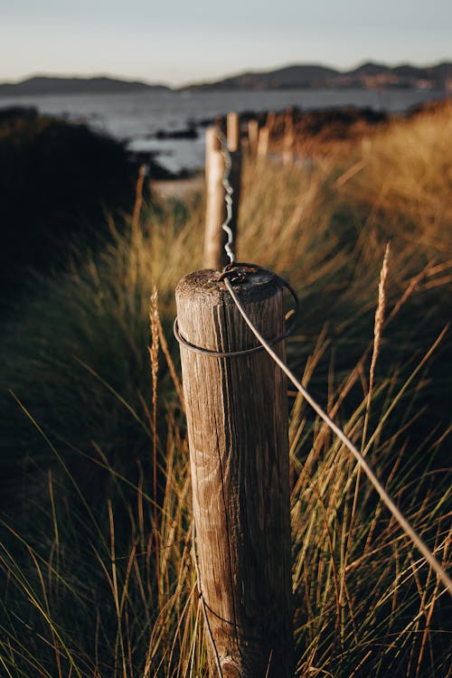 Photo Of Fence · Free Stock Photo