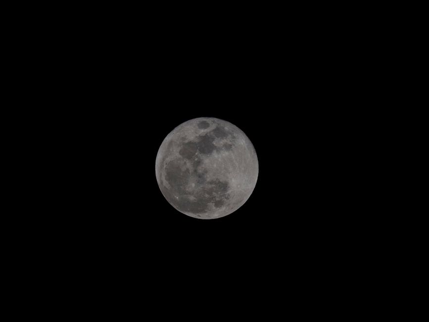 Una luna piena dettagliata contro un cielo notturno nero come la pece, che mostra i crateri lunari.