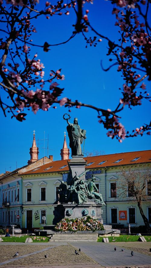 Free A stunning springtime view of a historic city statue framed by cherry blossoms against a clear blue sky. Stock Photo