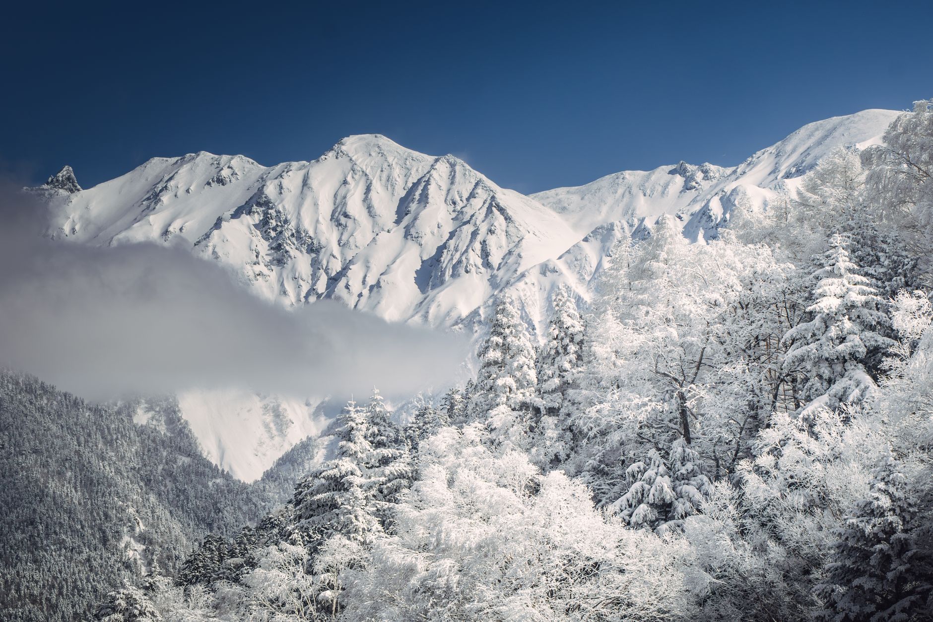 飛騨高山 食べ歩きグルメおすすめランキング5選|飛騨牛を食べ尽くす