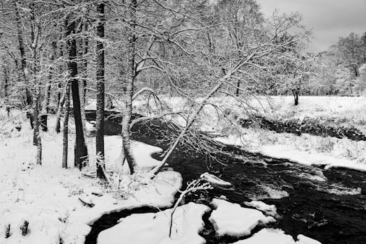 A serene black and white winter landscape of a snow-covered stream in Keila-Joa, Estonia.