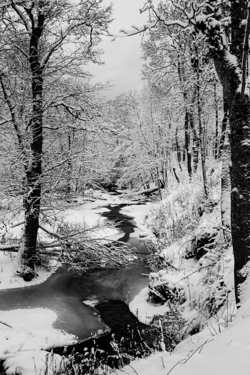 Free Tranquil black and white scene of a snow-covered river in Keila-Joa, Estonia. Stock Photo