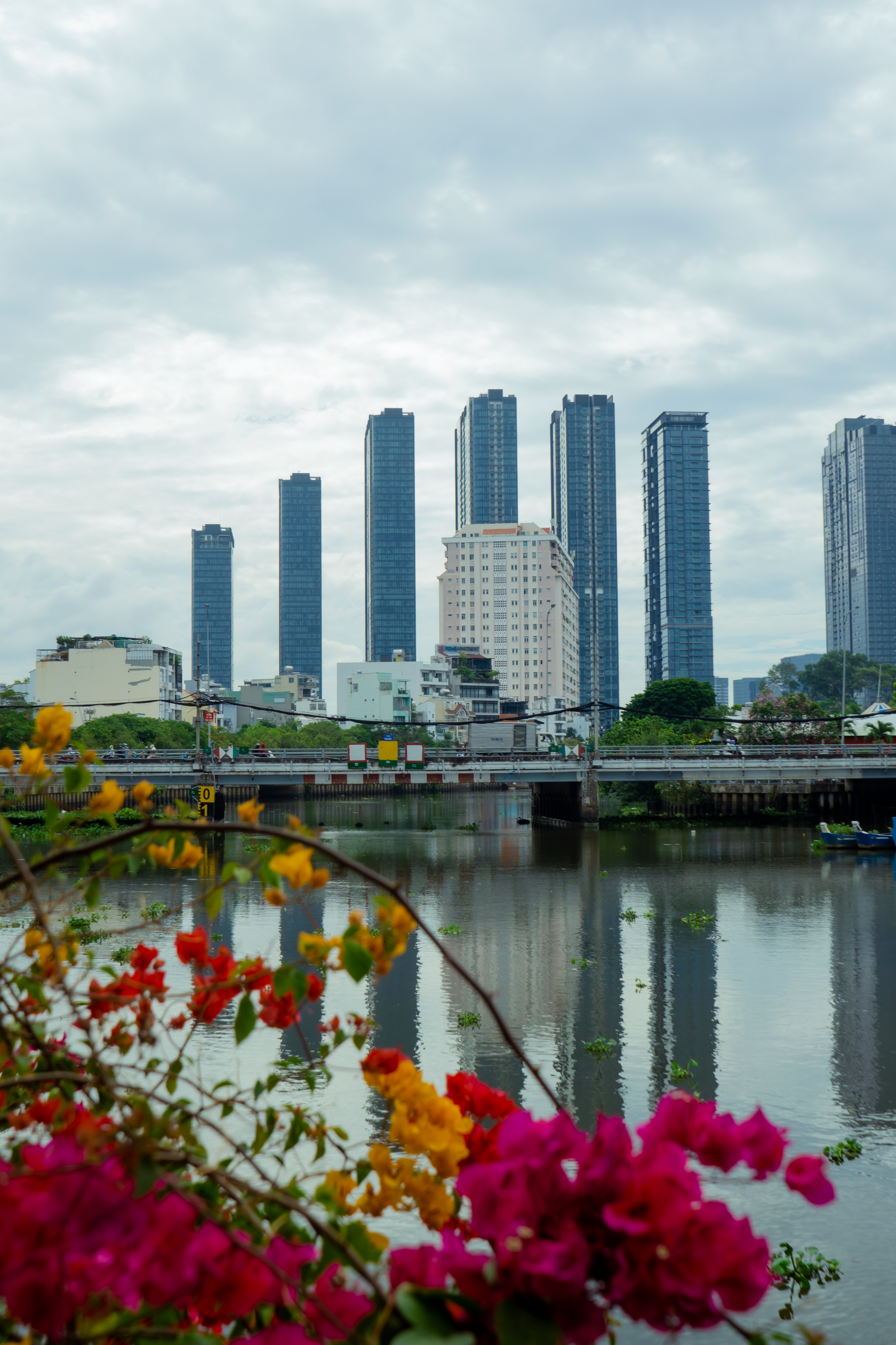 Skyscrapers and Flowers by Saigon River · Free Stock Photo