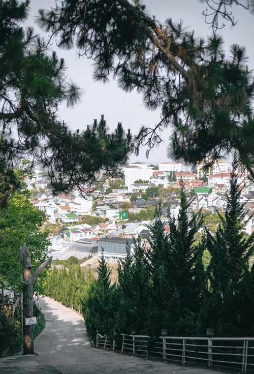Free Beautiful panoramic view of Dalat cityscape framed by lush pine trees, exemplifying nature and urban harmony. Stock Photo