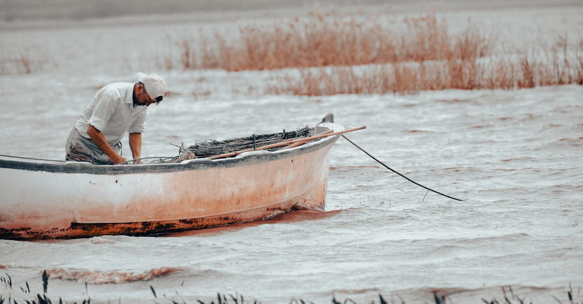 Choisir le bon poisson selon la saison et le lieu