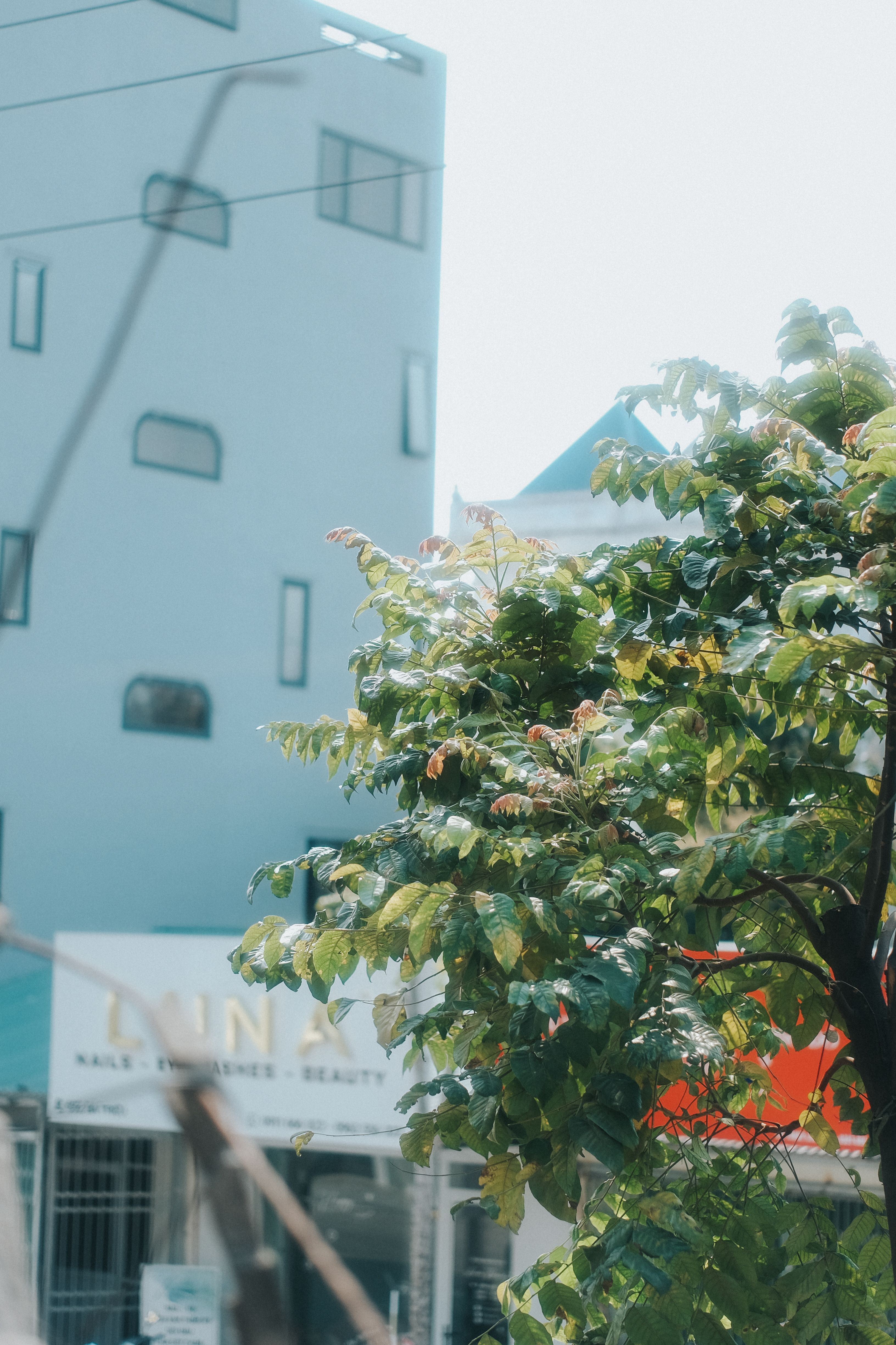 Modern urban architecture mingled with lush greenery in Lạng Sơn, Vietnam.