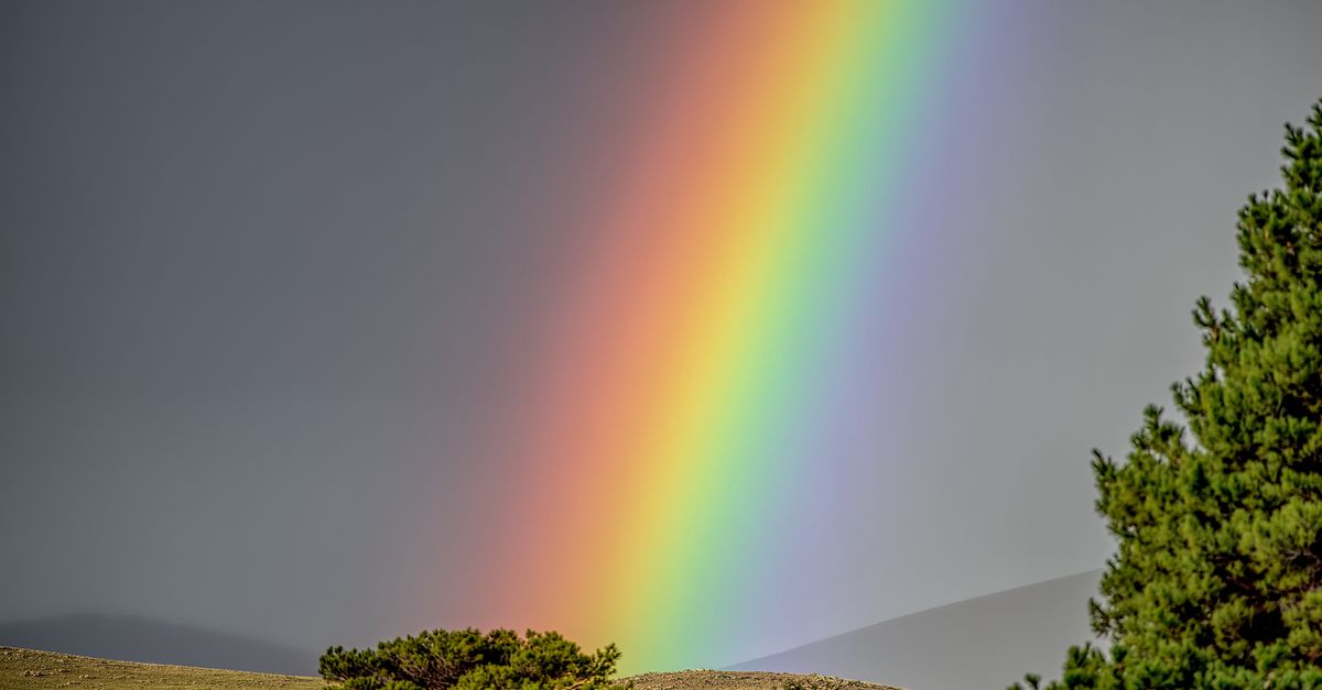 Couleurs Arc-en-Ciel : Guide Déco Complet