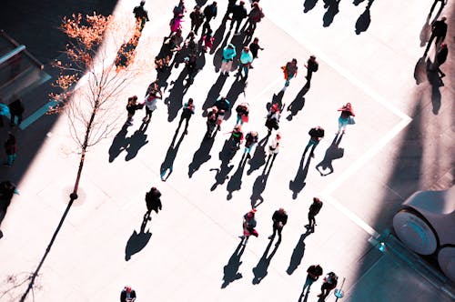 Free stock photo of acceptance, birds eye view, everyday people