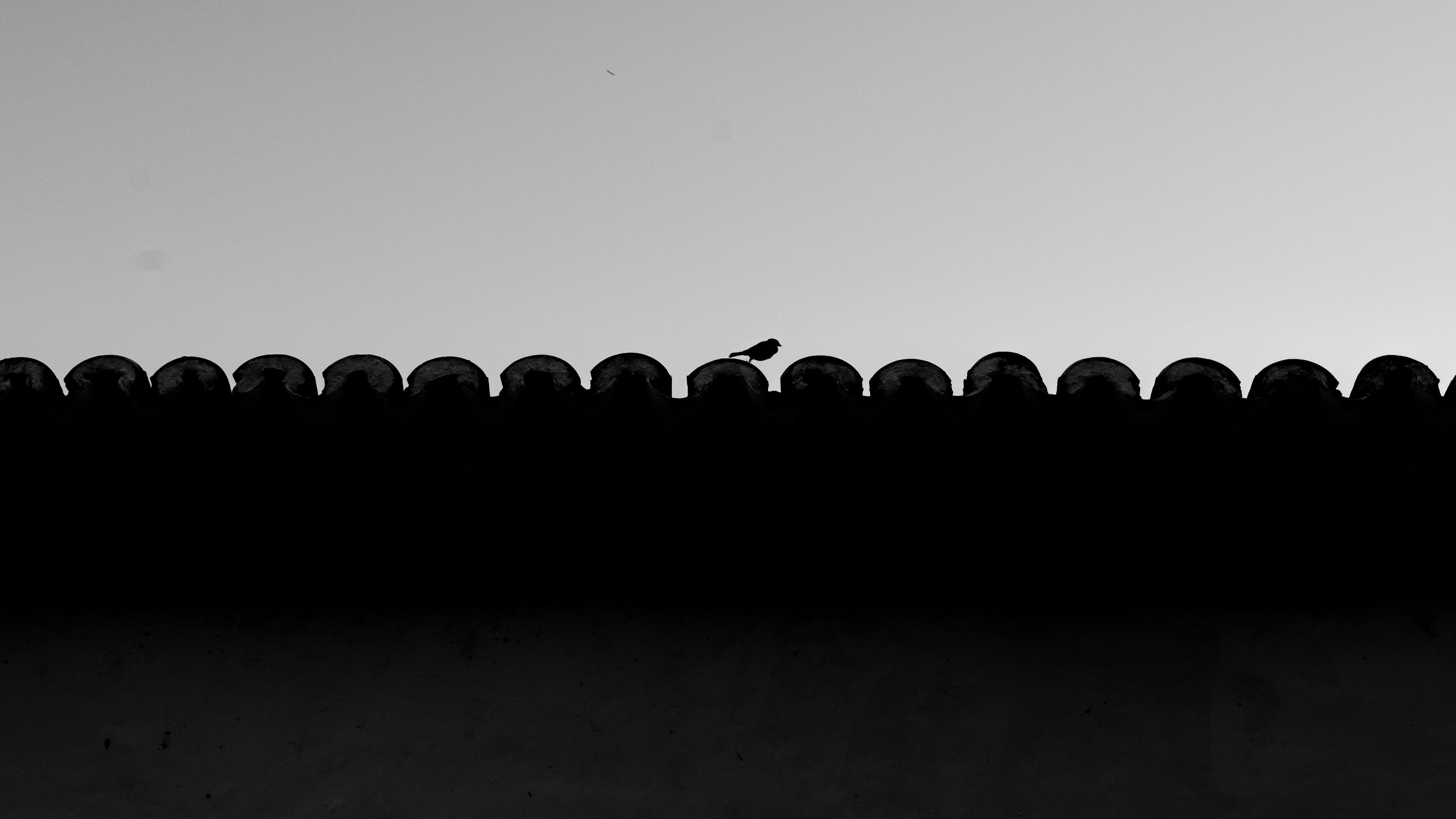 Free Monochrome photo of a bird silhouette perched on a tiled roof against a clear sky. Stock Photo