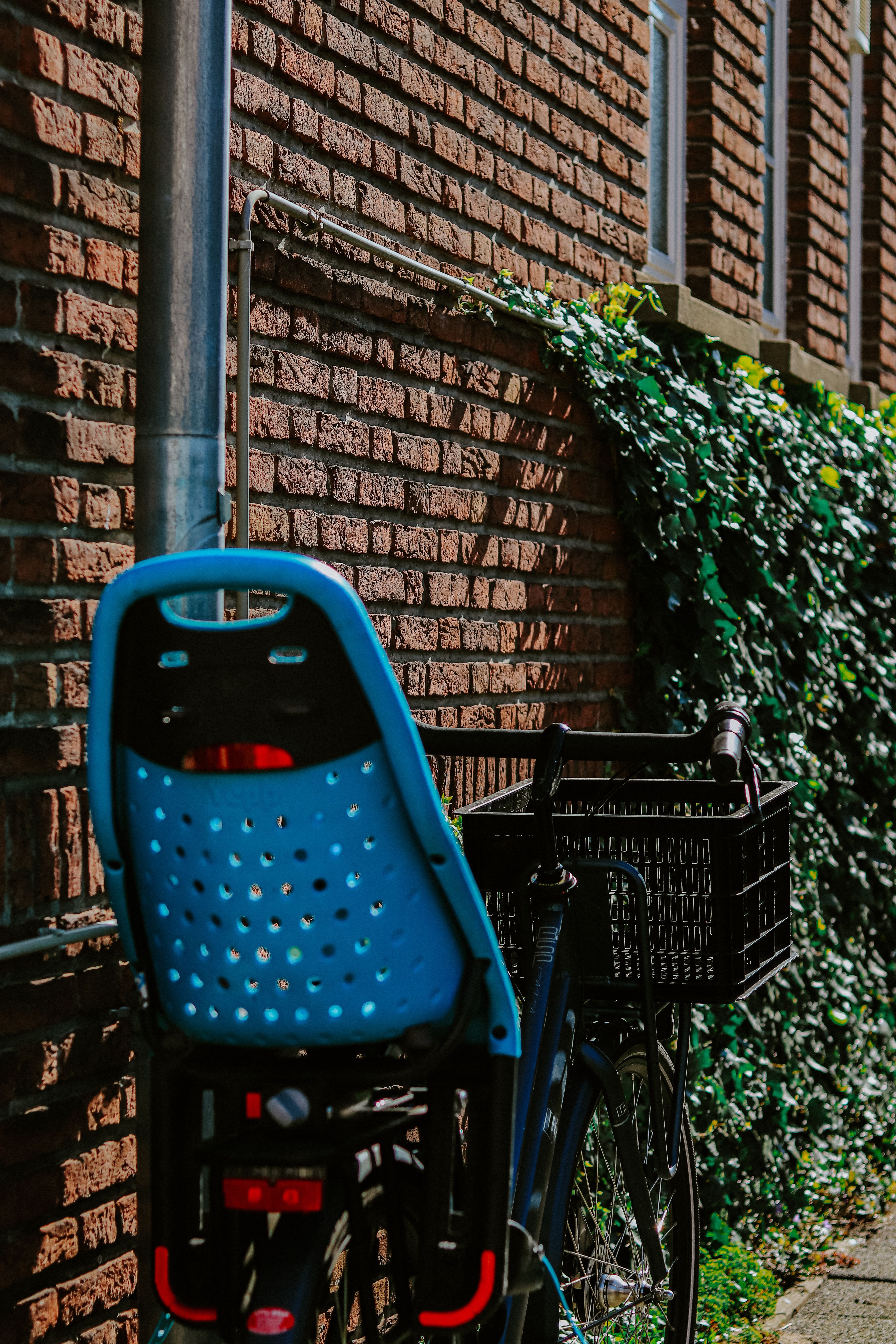 Bicycle parked against a brick wall with ivy, featuring a blue child seat and basket.