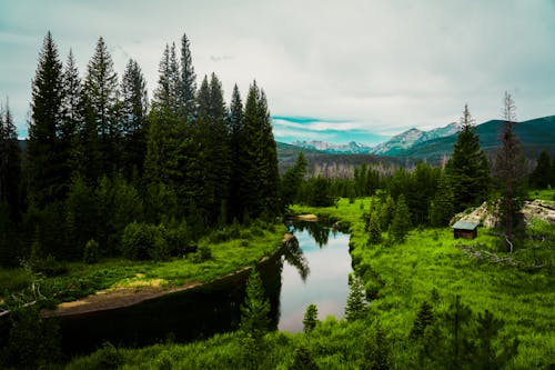 Free stock photo of aesthetic, blue sky, cabin