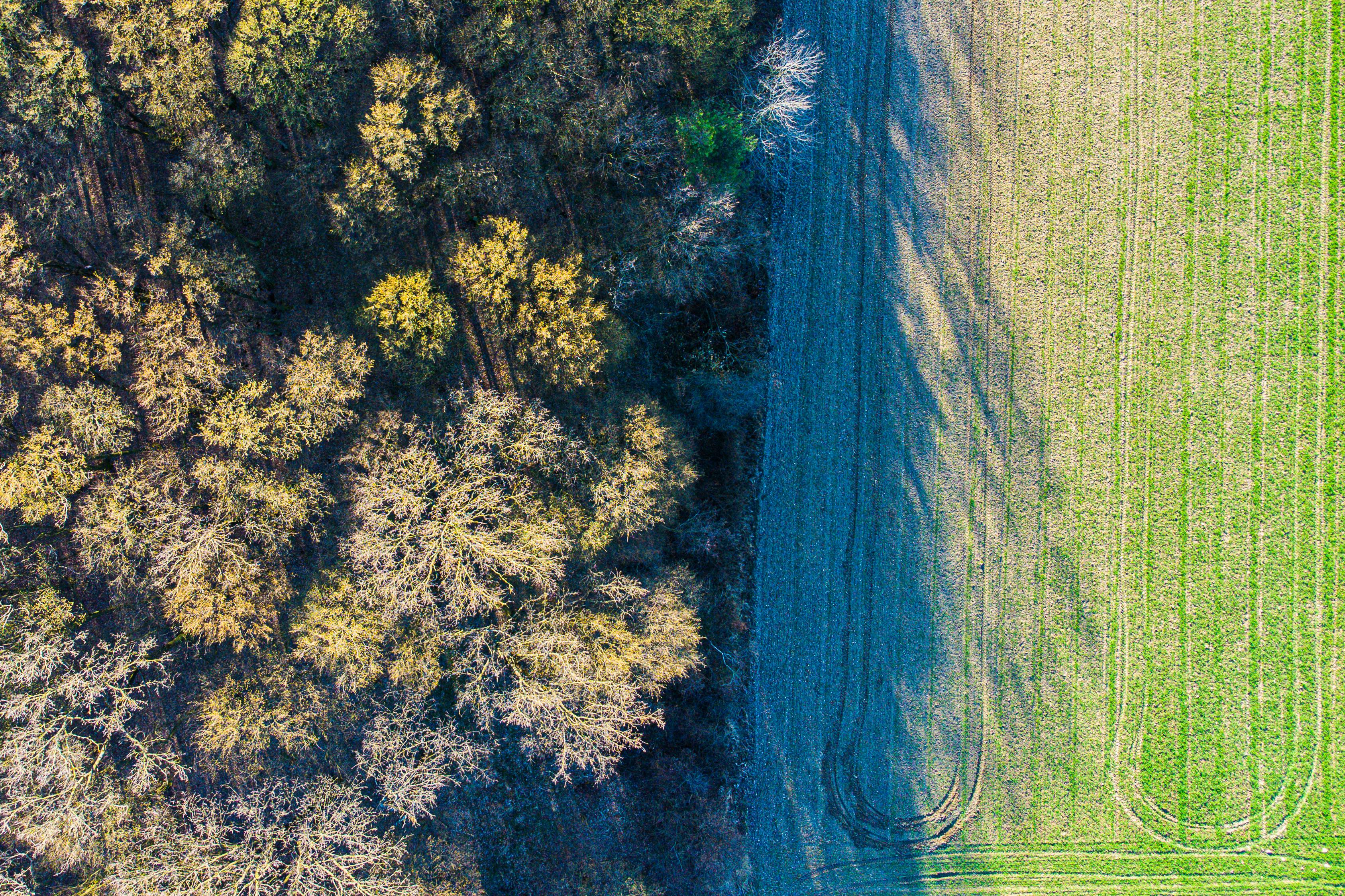 The Rise and Evolution of ESG Compliance in Indian Corporate Governance — Photo by Nikola Tomašić on Pexels