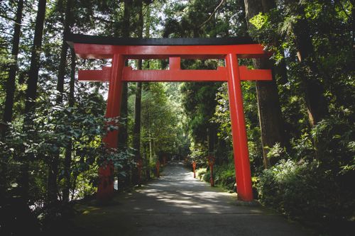 Free Discover the iconic red Torii gate nestled in a serene forest setting in Hakone, Japan. Stock Photo