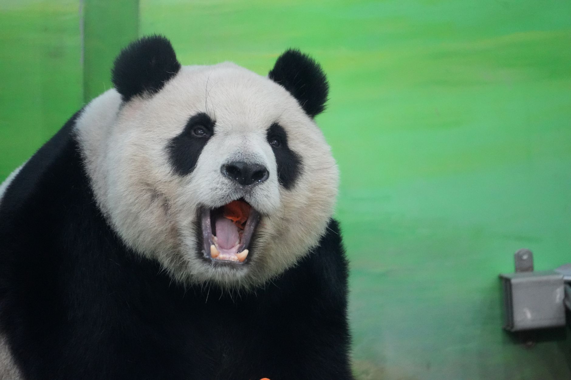 Chengdu, China