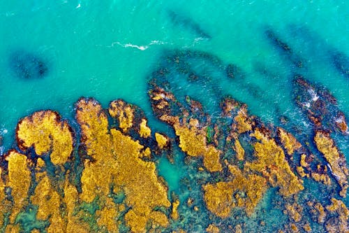 Aerial Photography of Blue Sea Near Seashore