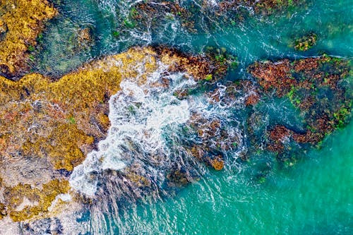 Top View Photo of Seawater on Rock Formation