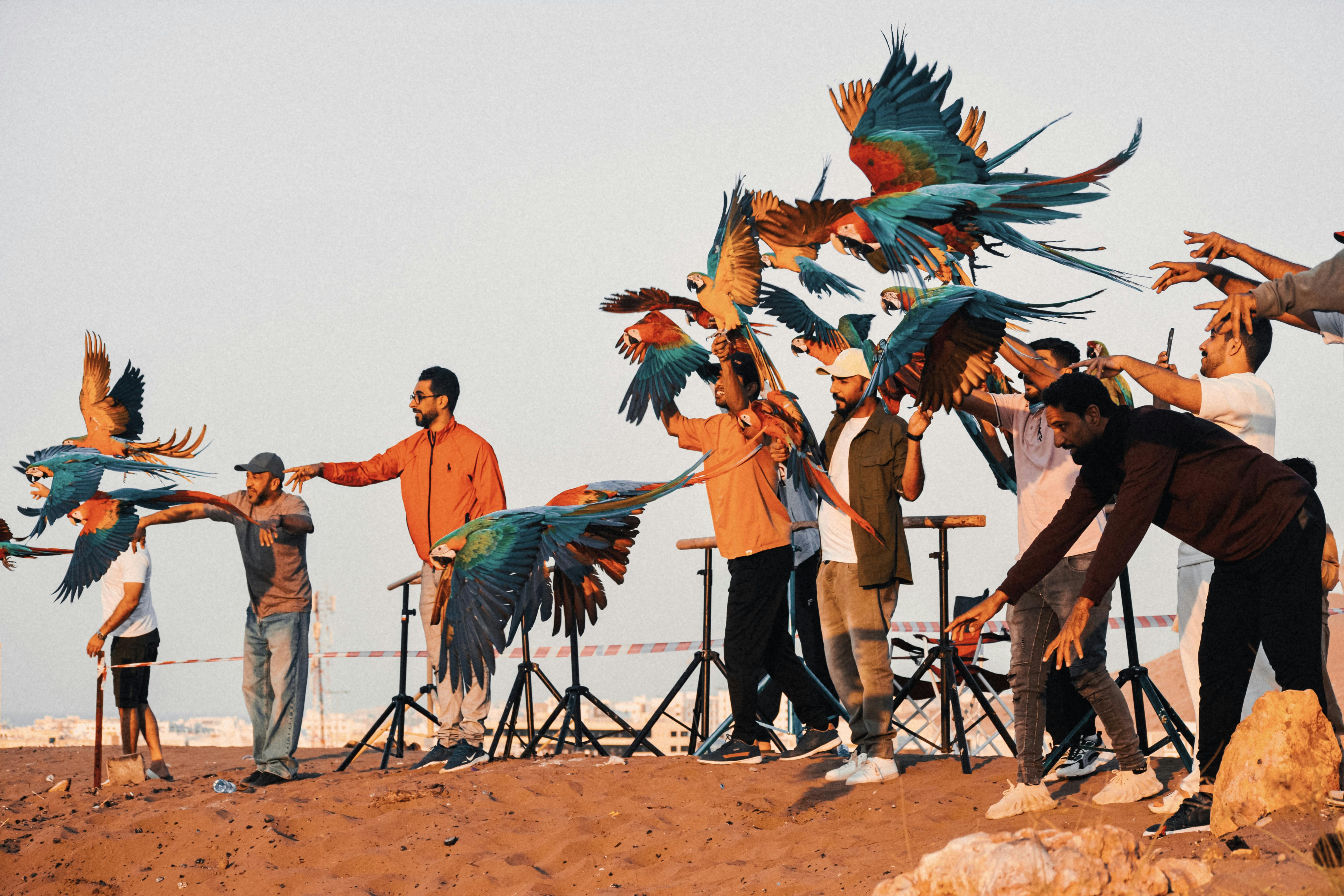 Family Traveller-Sailawaze Live showcases immersive travel inspiration — Photo by Reyyan on Pexels