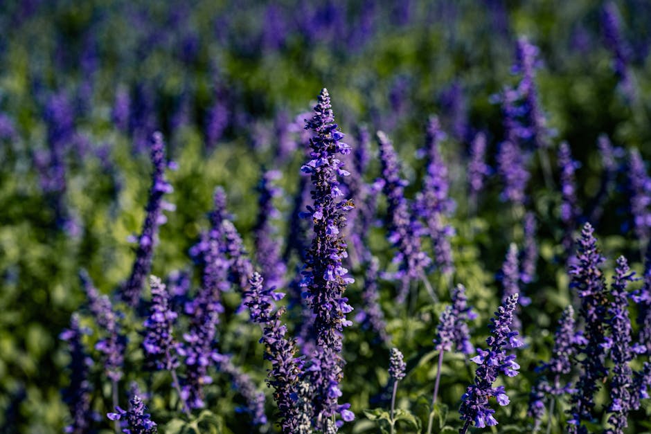 urso de perfumaria gratis