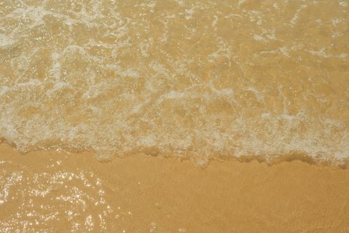 Free Tranquil sandy beach with gentle waves lapping the shore in bright sunlight. Stock Photo