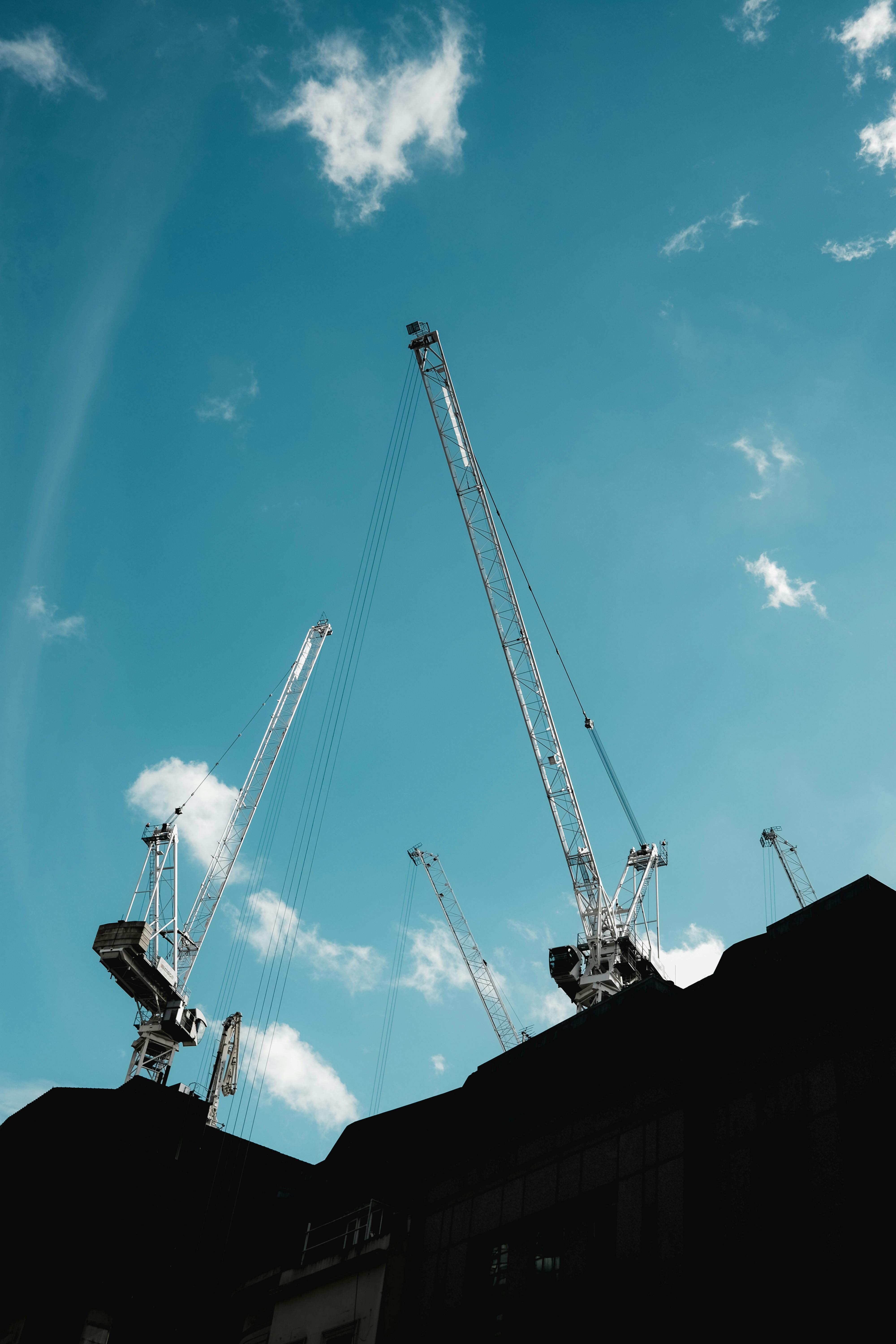 Japanese Crane in the Clouds