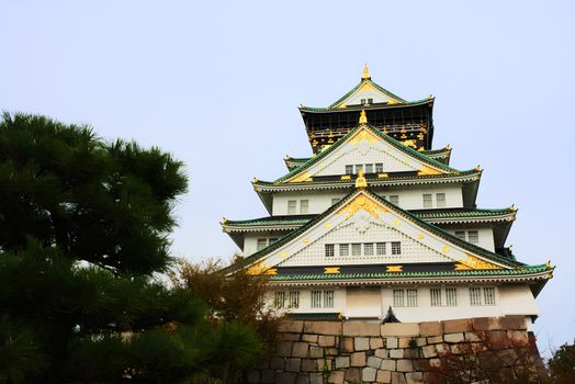 Osaka Castle private morning — Osaka