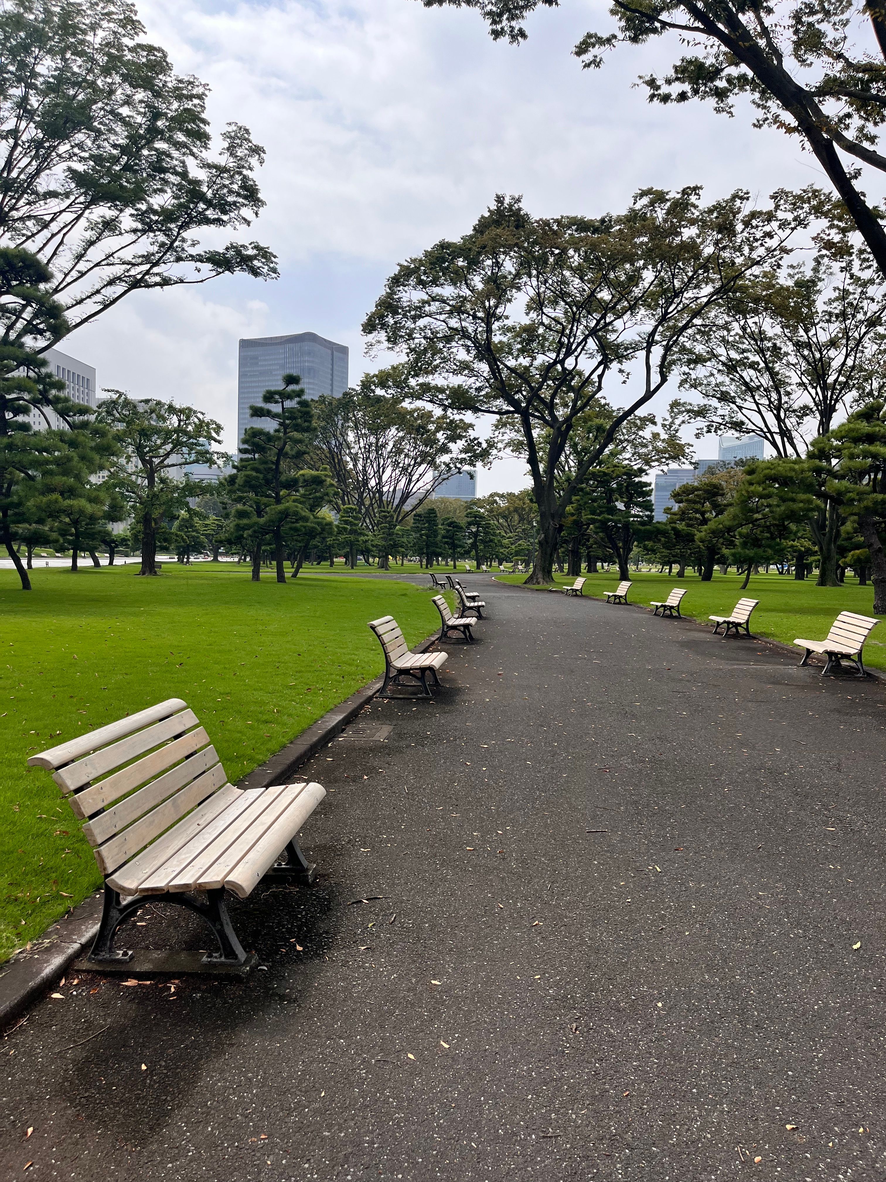 Tranquil Pathway in Tokyo's Urban Park · Free Stock Photo